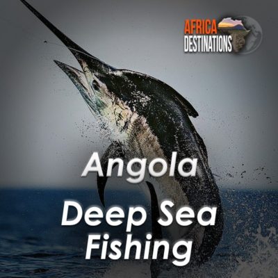 Gamefish and Deepsea Fishing Namibia South Africa