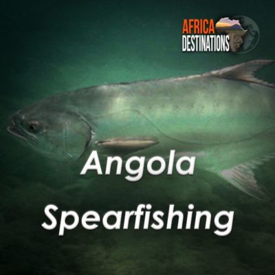 Angola-Spearfishing-Africa-Destinations