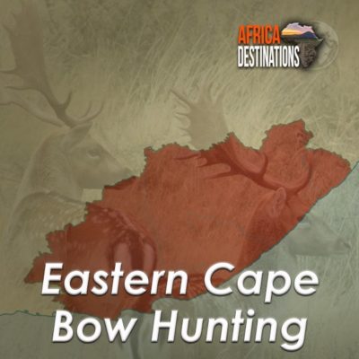 Bowhunting Eastern Cape South Africa