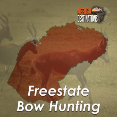 Bow-Hunting-Freestate-Province-Africa-Destinations