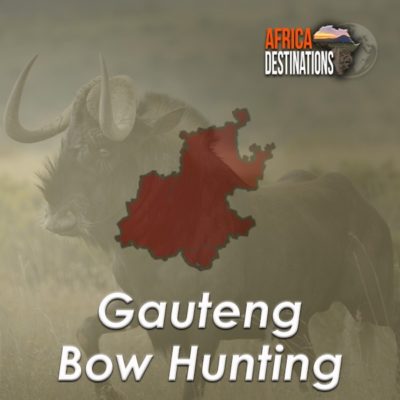 Bow-Hunting-Gauteng-Province-Africa-Destinations