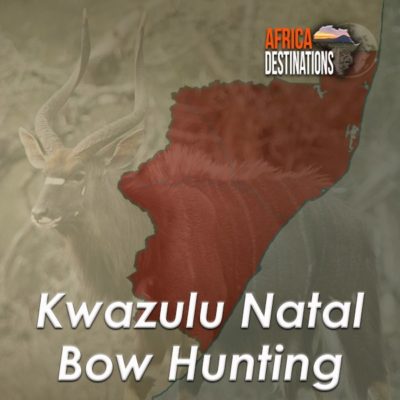 Bow-Hunting-Kwazulu-Natal-Province-Africa-Destinations