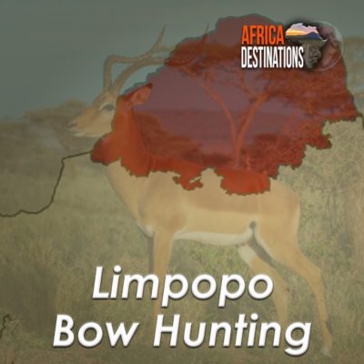 Bow-Hunting-Limpopo-Province-Africa-Destinations