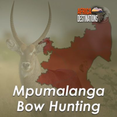 Bow-Hunting-Mpumalanga-Province-Africa-Destinations