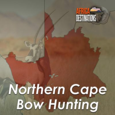 Bow-Hunting-Northern-Cape-Province-Africa-Destinations