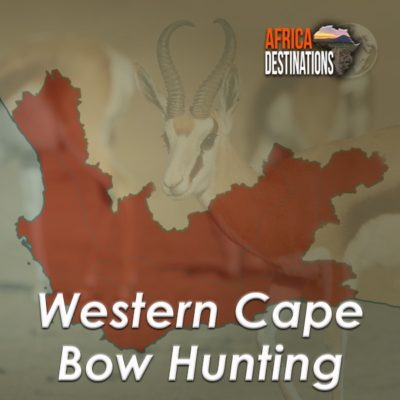Bow-Hunting-Western-Cape-Province-Africa-Destinations