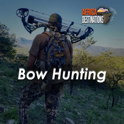 Bow Hunting Southern Africa