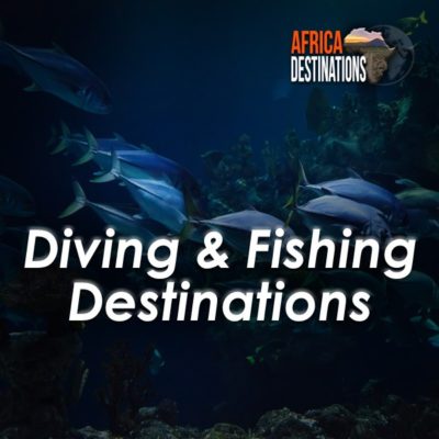 Diving and Fishing Southern Africa