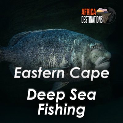 Gamefish and Deepsea Fishing Eastern Cape South Africa