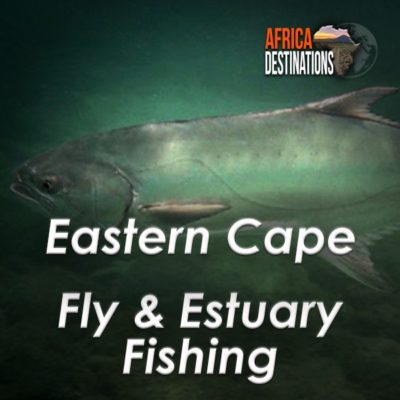 Eastern Cape Fly and Estuary Fishing Africa