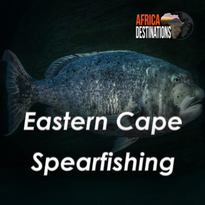 Eastern-Cape-Spearfishing-Africa-Destinations