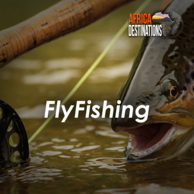 Flyfishing-Destinations-Africa-Destinations