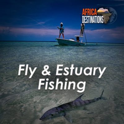Fly and Estuary Fishing Africa