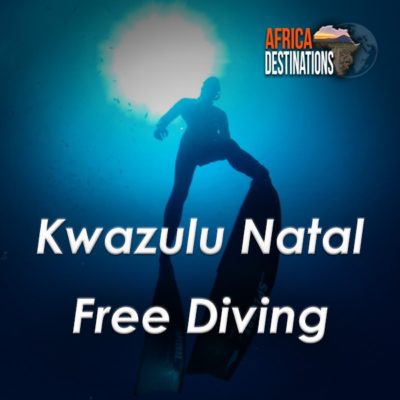 Freediving-Kwazulu-Natal-Africa-Destinations