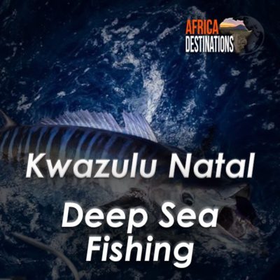 Gamefish and Deepsea Fishing Kwazulu Natal South Africa
