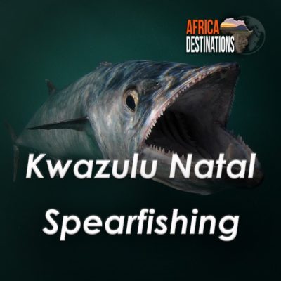 Kwazulu-Natal-Spearfishing-Africa-Destinations