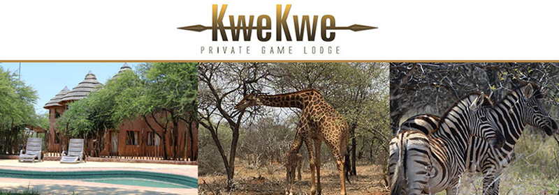 Kwe-Kwe-Private-Game-Lodge