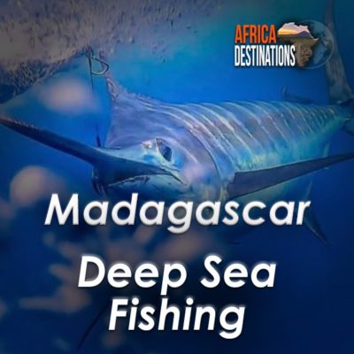 Gamefish and Deepsea Fishing Madagascar South Africa