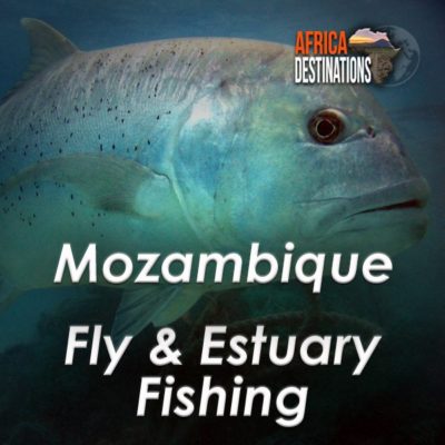 Mozambique Fly and Estuary Fishing Africa