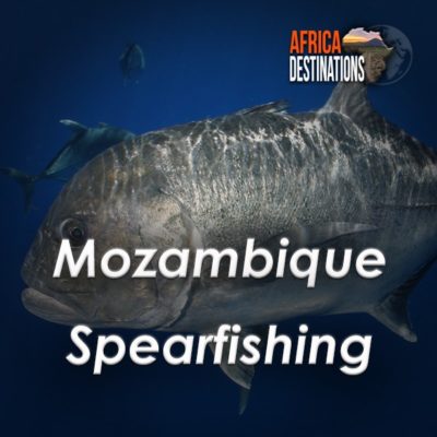 Mozambique-Spearfishing-Africa-Destinations