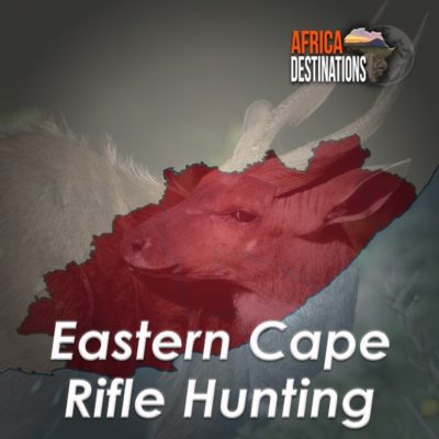 Rifle Hunting Eastern Cape South Africa