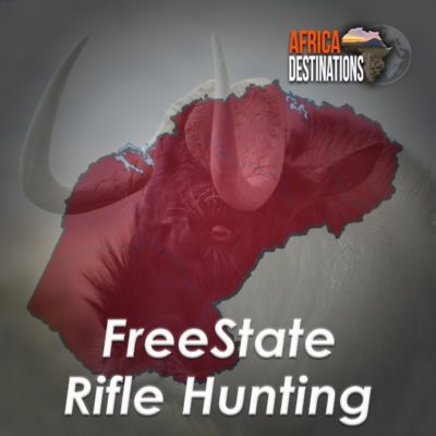 Rifle Hunting Freestate Province Africa Destinations