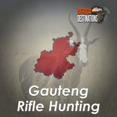 Rifle Hunting Gauteng Province Africa Destinations