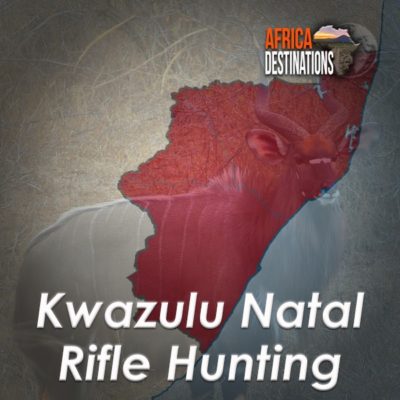 Rifle Hunting Kwazulu Natal Province Africa Destinations