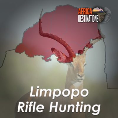 Rifle Hunting Limpopo Province Africa Destinations