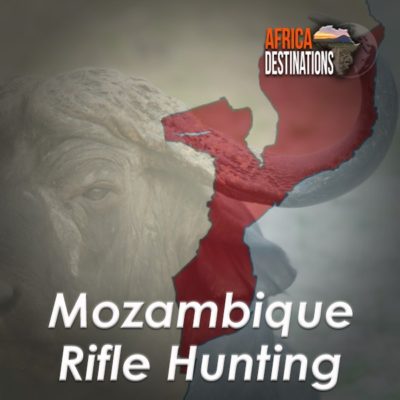 Rifle Hunting Mozambique Africa Destinations