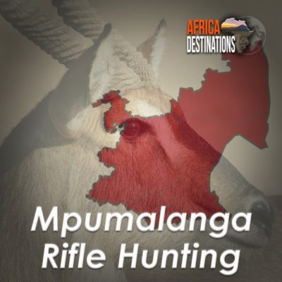 Rifle Hunting Mpumalanga Province Africa Destinations