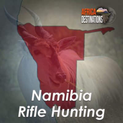 Rifle Hunting Namibia Africa Destinations