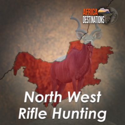 Rifle Hunting North West Province Africa Destinations