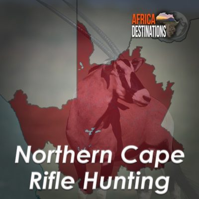 Rifle Hunting Northern Cape Province Africa Destinations