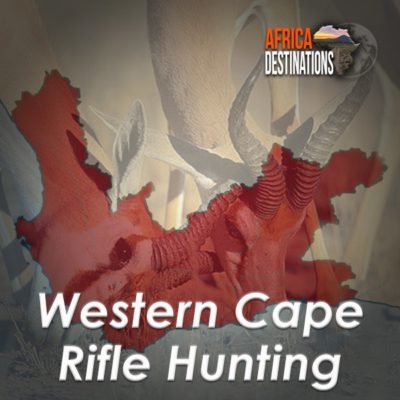 Rifle Hunting Western Cape Province Africa Destinations
