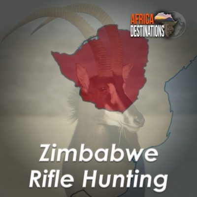 Rifle Hunting Zimbabwe Africa Destinations