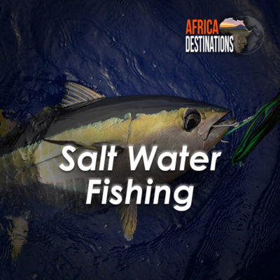 SaltWater-Fishing-Destinations-Africa-Destinations
