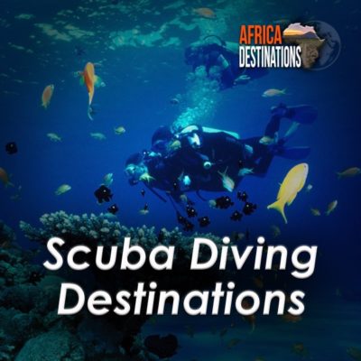 Scuba-Diving-Africa-Destinations