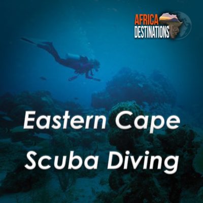 Scuba-Diving-Eastern-Cape-Africa-Destinations