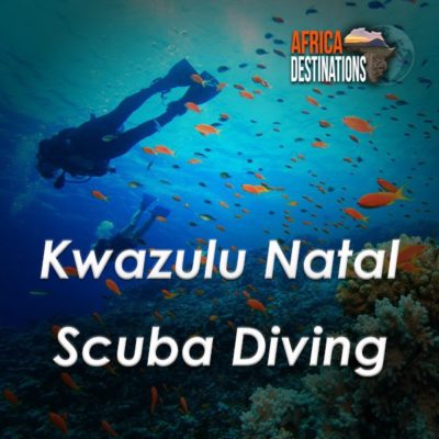 Scuba-Diving-Kwazulu-Natal-Africa-Destinations