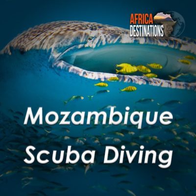 Scuba-Diving-Mozambique-Africa-Destinations