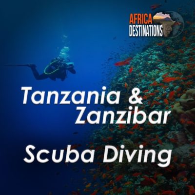 Scuba-Diving-Tanzania-and-Zanzibar-Africa-Destinations