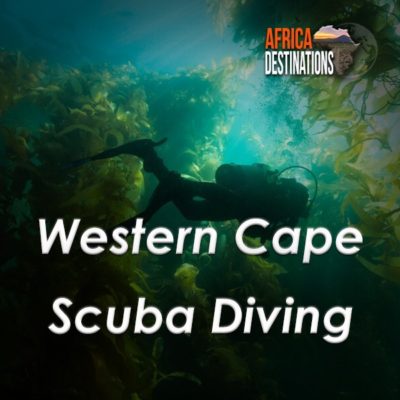 Scuba-Diving-Western-Cape-Africa-Destinations