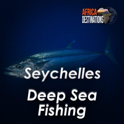 Gamefish and Deepsea Fishing Seychelles South Africa