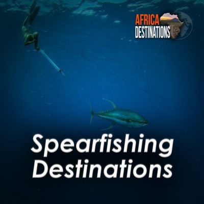 Spearfishing-Destinations-Africa-Destinations