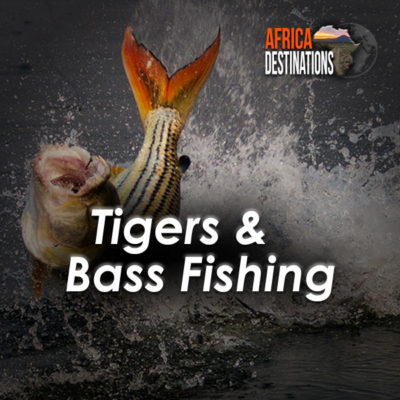 Tigers-and-Bass-Fishing-Destinations-Africa-Destinations