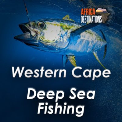 Gamefish and Deepsea Fishing Western Cape South Africa