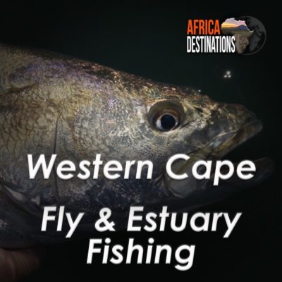 Western Cape Fly and Estuary Fishing Africa