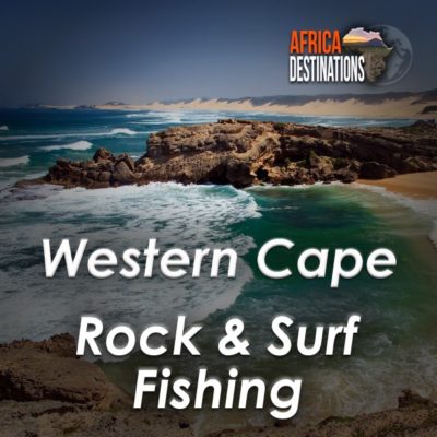 Rock and Surf Fishing Western Cape Southern Africa
