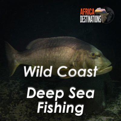 Gamefish and Deepsea Fishing Wild Coast South Africa